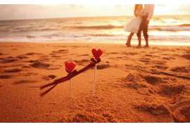 离婚律师焦艳艳:用法律与真情挽回前夫 离婚律师焦艳艳:用法律与真情挽回前夫